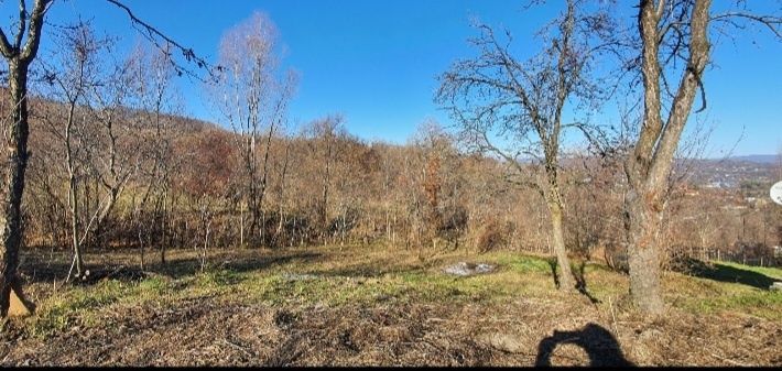 Teren Poiana Campina