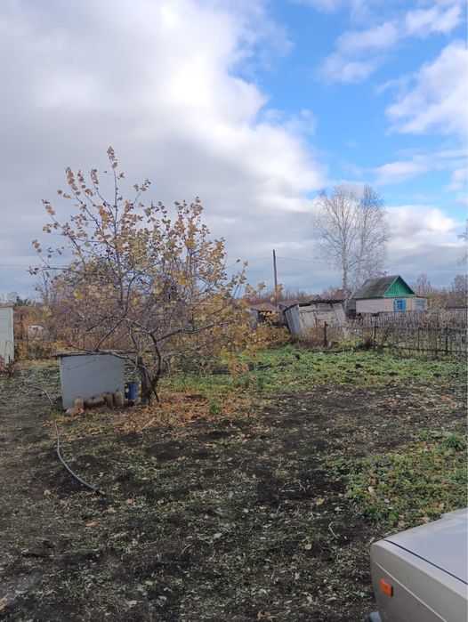 Продам дачу в с/о Ромашка