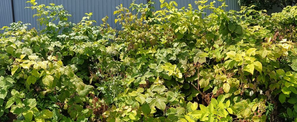 Продам пол дома в селе Дон