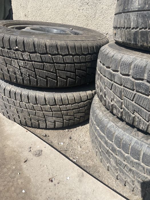 Резина кордиант