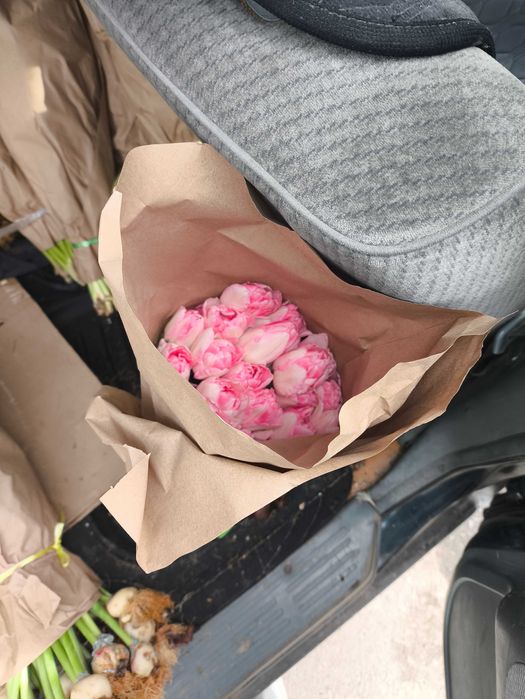 Тюльпаны от производителя