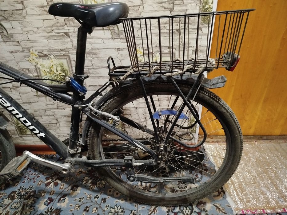 Velosepet aybi yo minishga tayyor