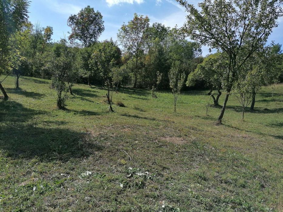 Vând teren intravilan apropiere Sinaia