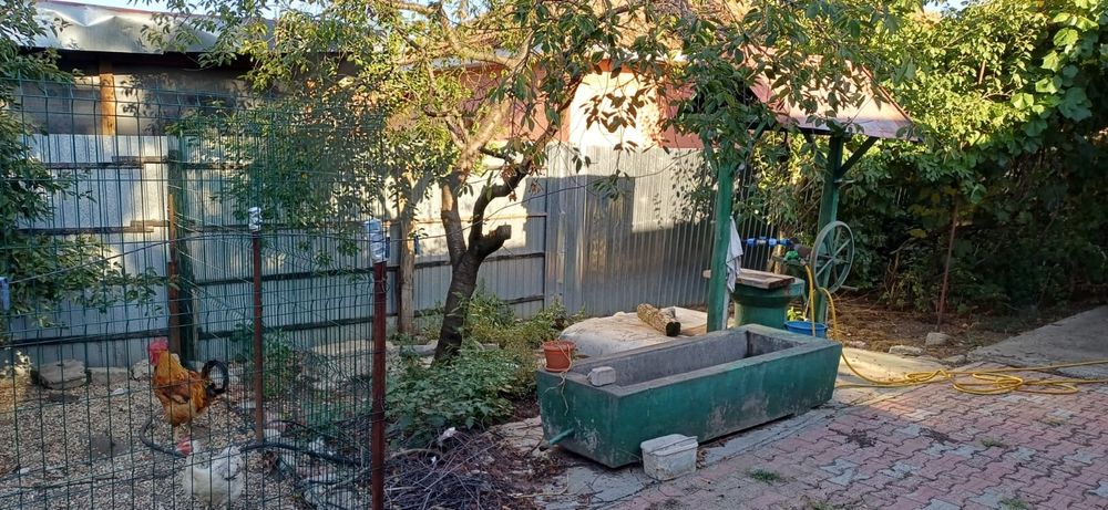 Vand casa la Terpezita