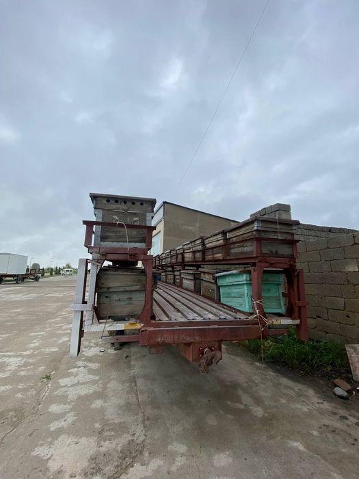 Asalari pritsipi uyalari bilan sotiladi