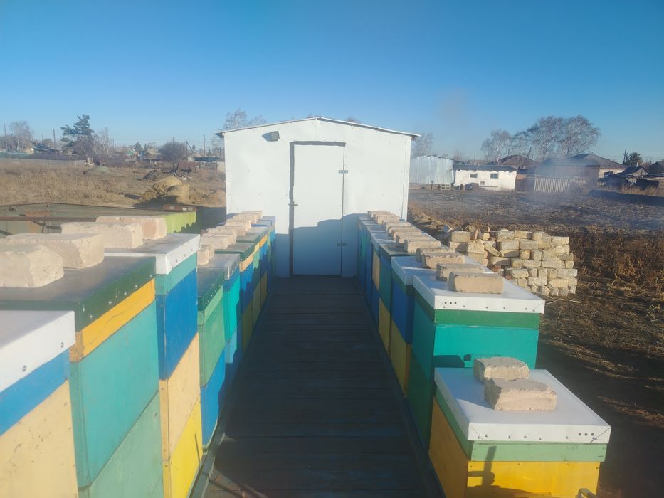 Пчелоприцеп. С ульями