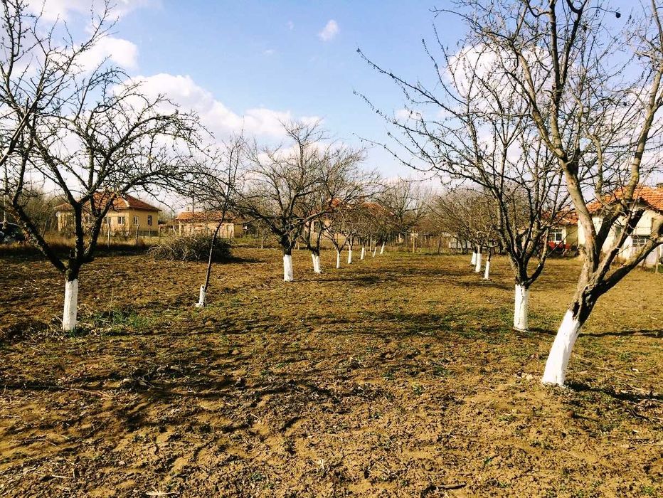 Продава се Парцел в Лом - 1450 кв.м за 3 €/кв.м - Снимка #3