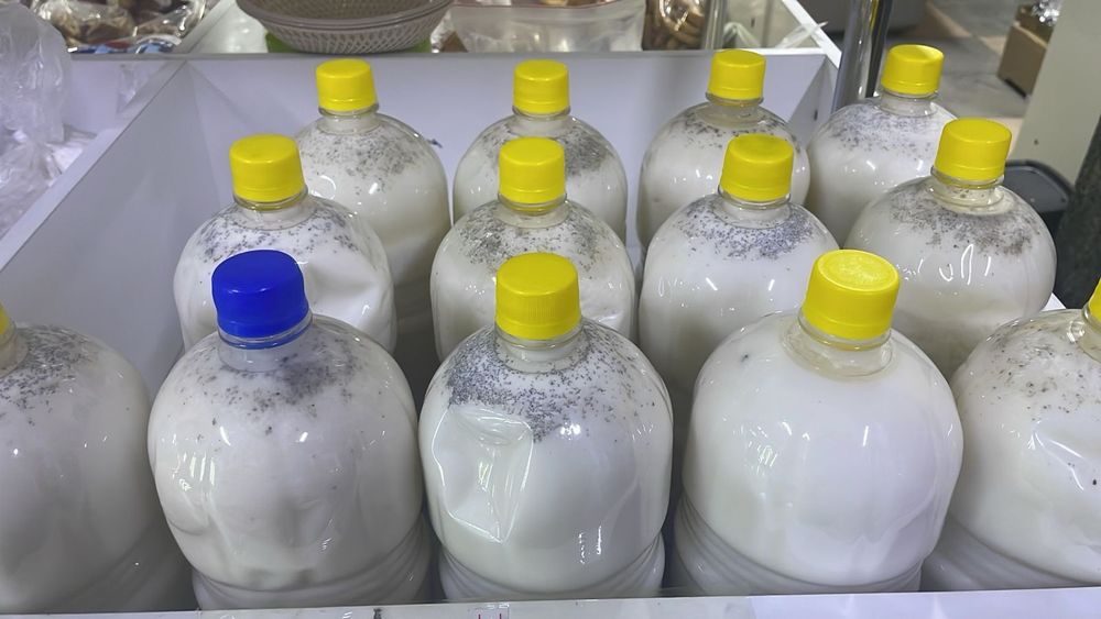 Свежий кымыз вкусный город караганда доставка от 5л бесплатно майкудук