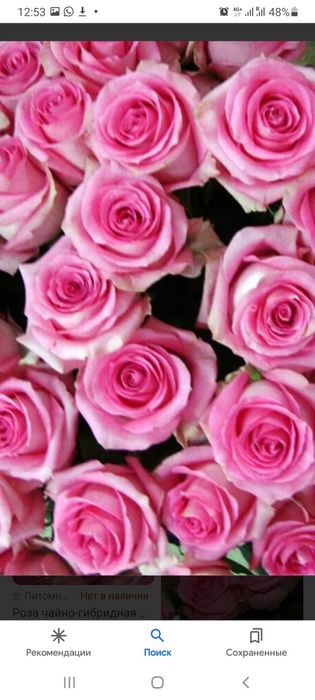 Гүлдер  цветы бесплатная доставка