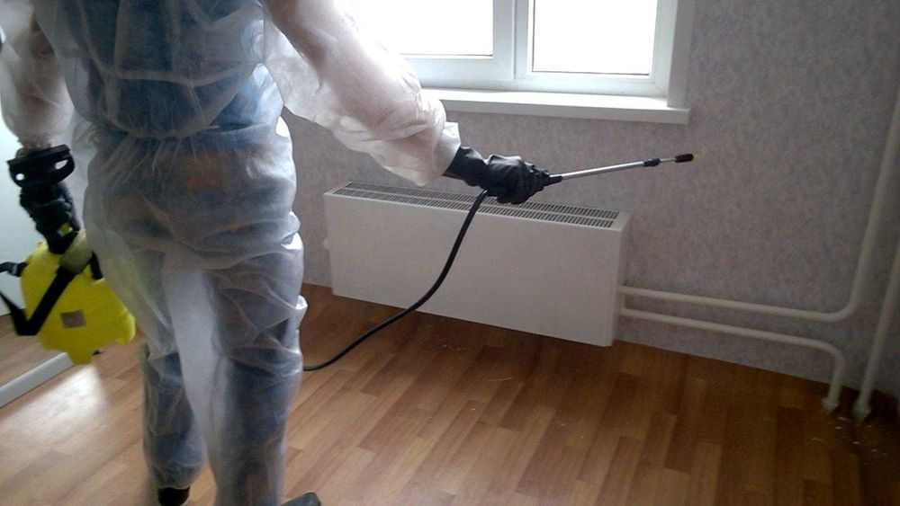 Дезинфекция 40% Dezinfeksiya klop tarkan ilon chayon burga клоп клапа