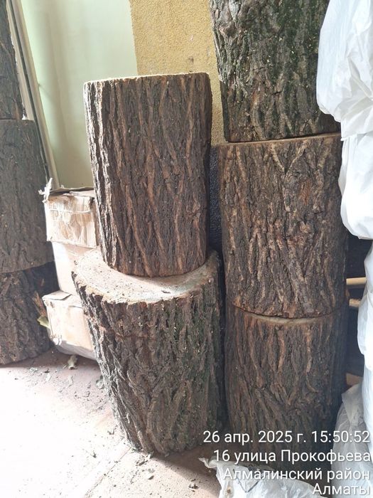 Продам  большой чурбак карагача