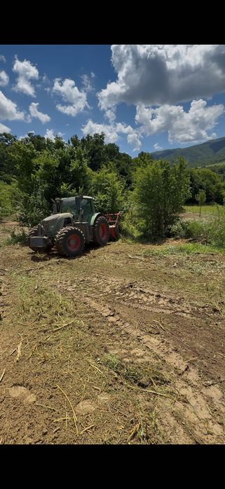Curățare Terenuri Sibiu | Defrișări, Tocare Crengi și Grădinărit