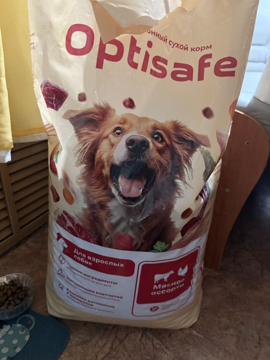 Корм для собак сухой