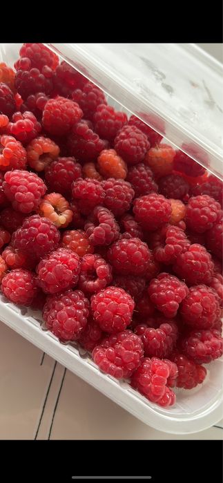 продам свежемороженую малину