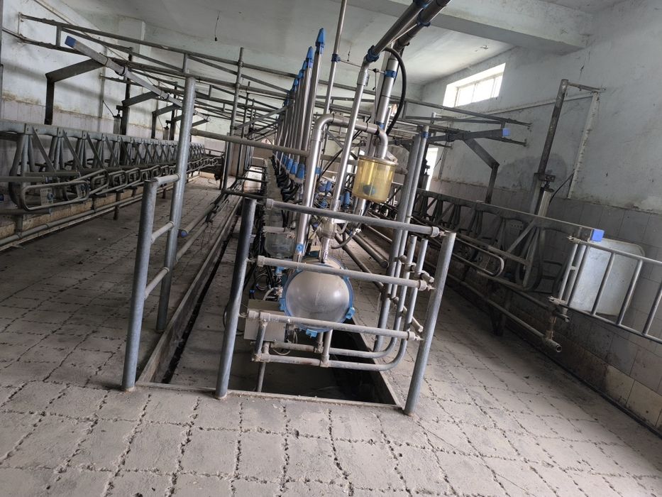 Sut sogʻadgan aparat holat zoʻr