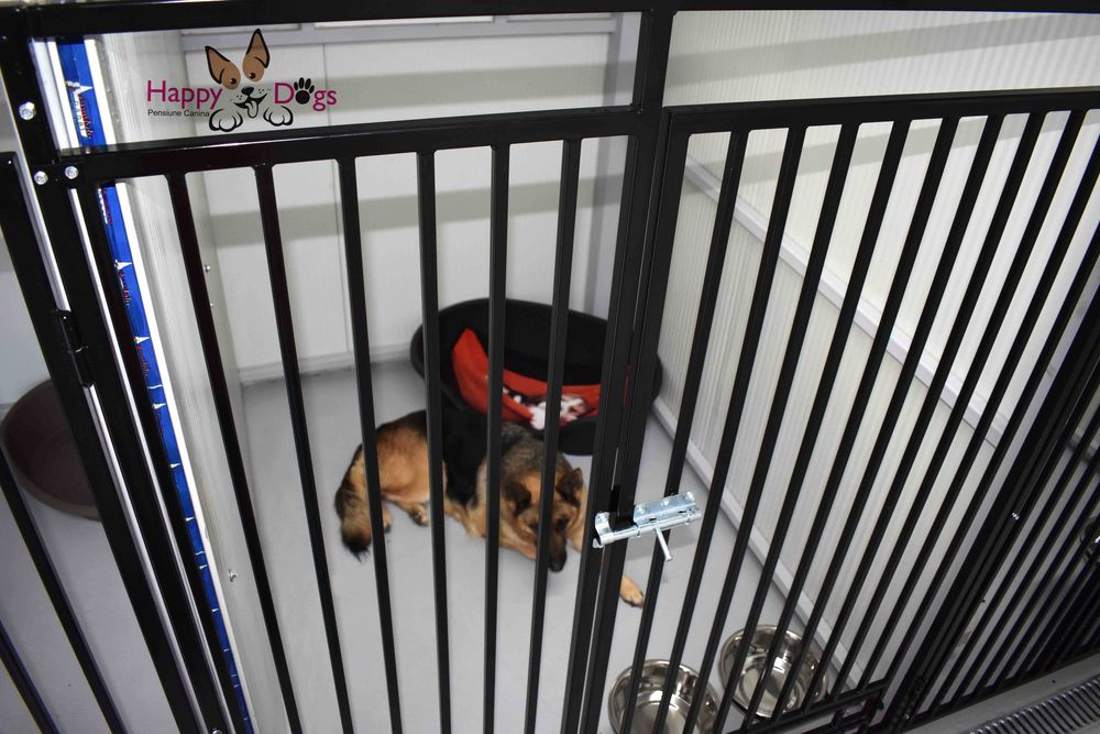 Kennel von Abgrund - Pet Sitting - Cazare Caini