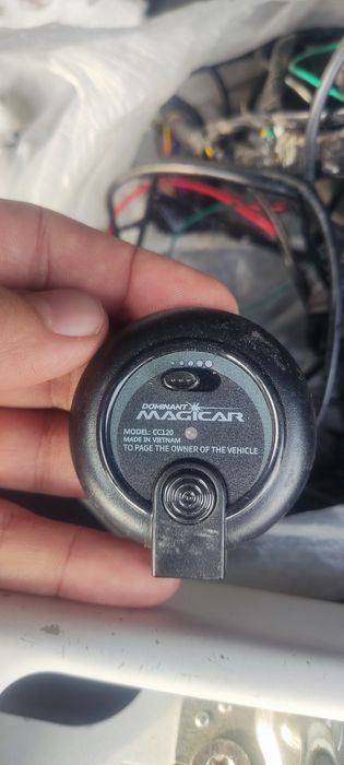 Dominant 909s arginal