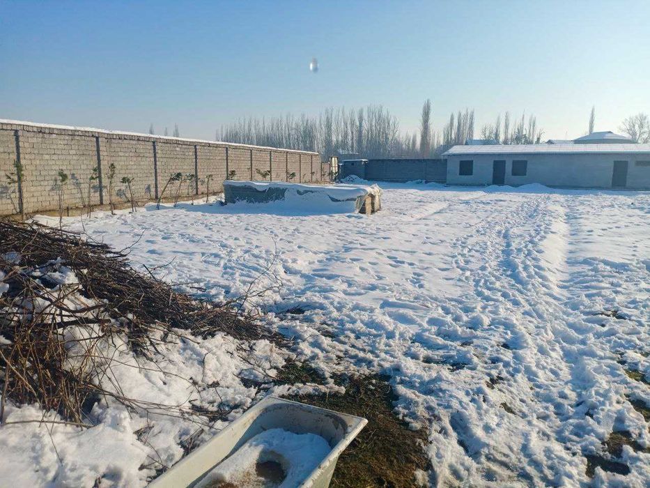 Ферма в аренду! На долго срок! Под Ташкентом