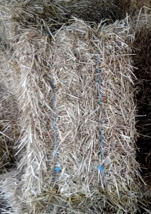 Vând baloti de paie