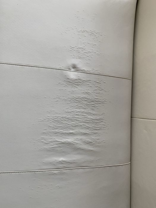 Vand canapea din piele