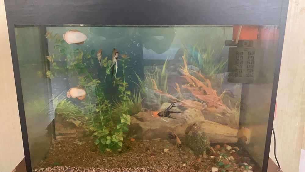 Аквариум 80 литр