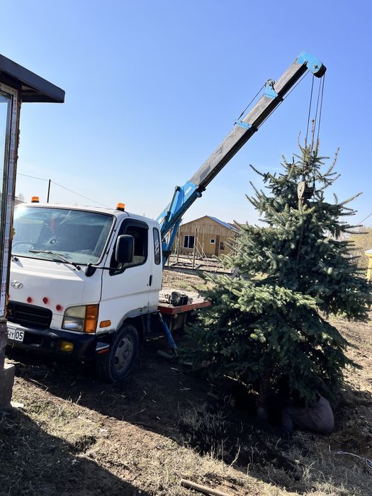 Манипулятор до 2 тонн