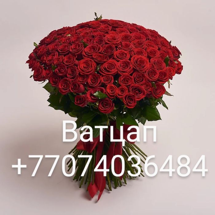 Продам красные розы