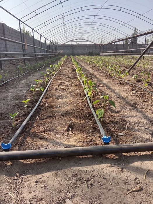 Issiq xona 4.5 sotix sotiladi