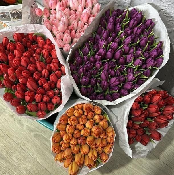 Свежие и красивые тюльпаны на 8 марта