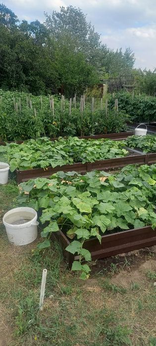 Продается дачный участок.