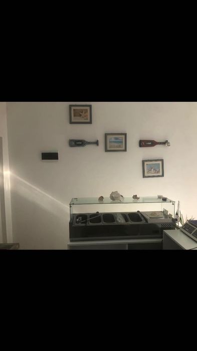 Продава се Магазин в Димитровград - 35 кв.м за 226 €/кв.м - Снимка #3