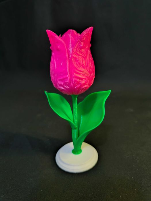 Printare 3D si Proiectare 3D La comanda