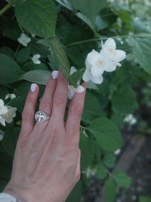 Продам дачу с домиком