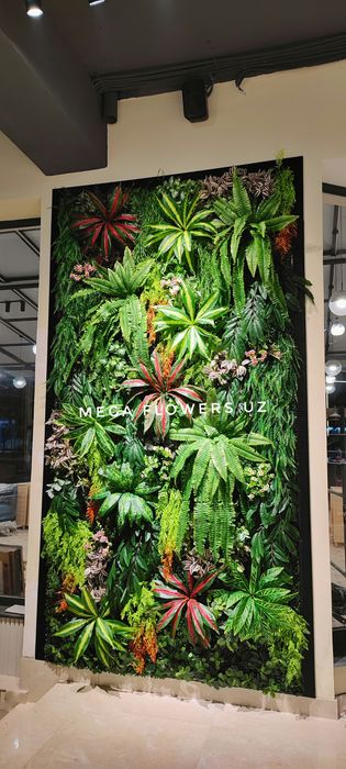 Yashil devor (Мох) Yetkazib berish.