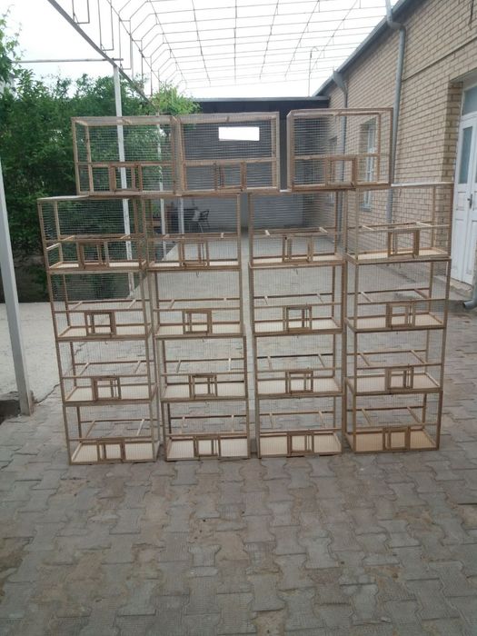 Кафас клетка сотилади