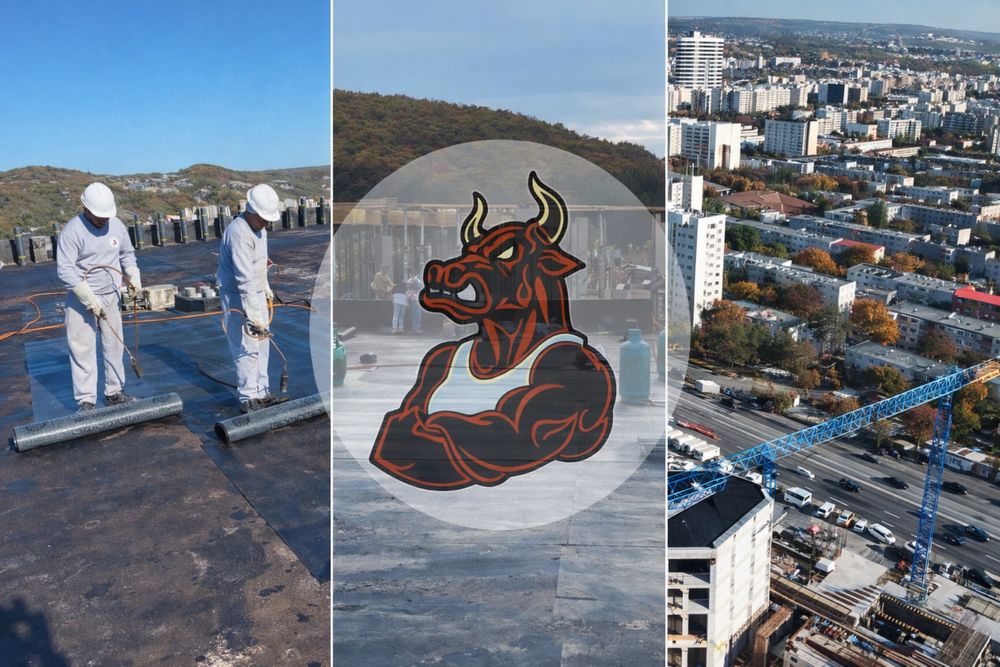 Hidroizolatii profesionale