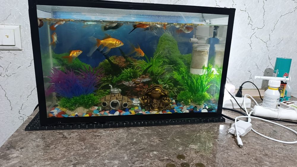 Продаю аквариум 40 литров