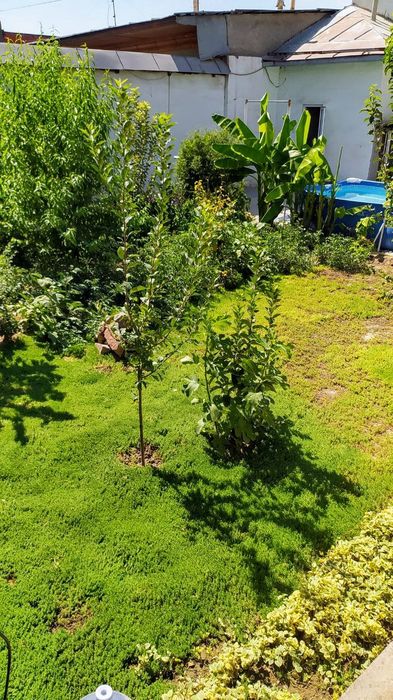 Кумарик 3.6.сот. 4 хона