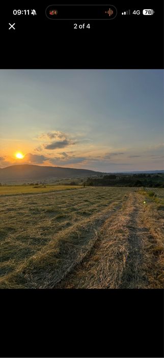 Teren de vanzare 6500mp-Suncuius-Bălnaca