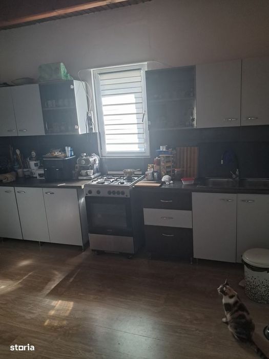 Casă Deosebită pe Structură de Lemn – Domnești Zona Țegheș | padure