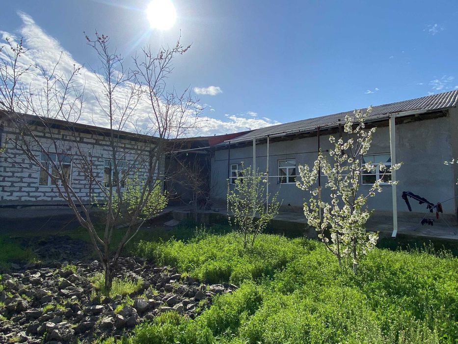 Продается дом город жомбой