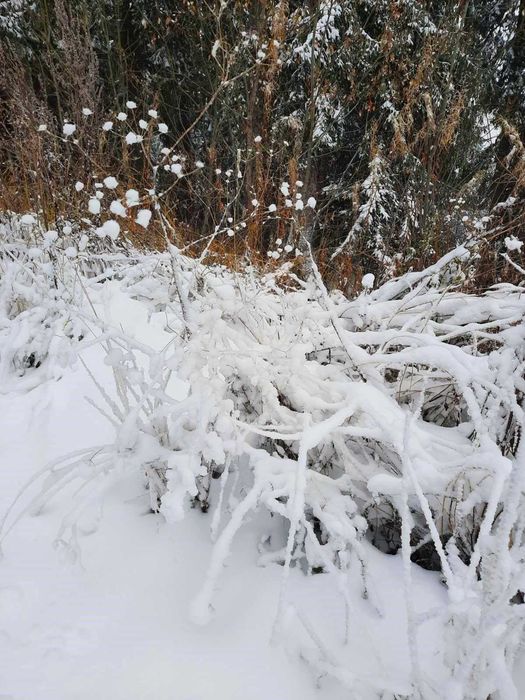 Продава се Парцел в с. Зорница, Област Смолян - 430 кв.м за 20 €/кв.м - Снимка #1