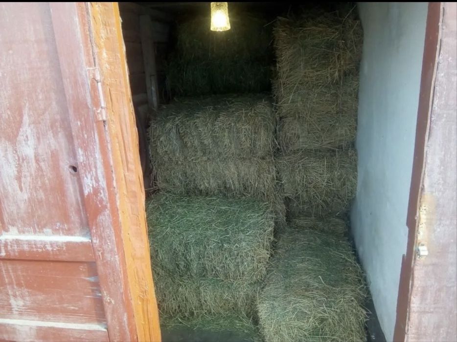 Тюк пресс клевер 100 см