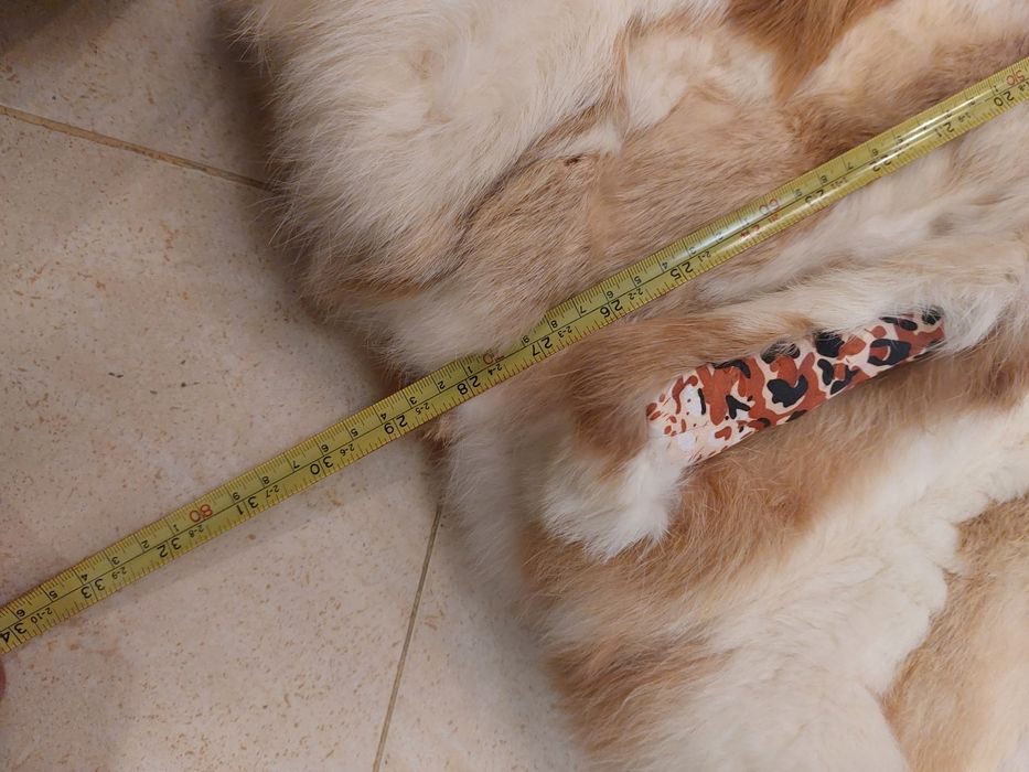 Палто заек и елек лисица