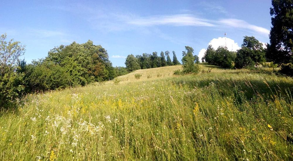 Vând teren extravilan in Bistra Mureșului