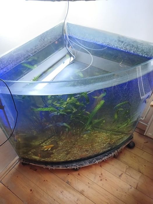 Vând acvariu, reducere de preţ