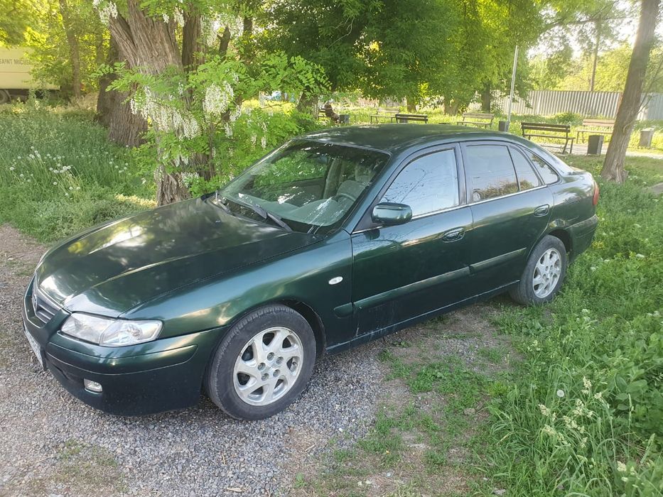 Обмен на крс, быки