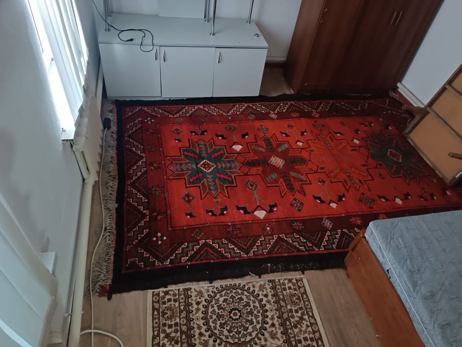 Казахи накыштагы таптырмас килем