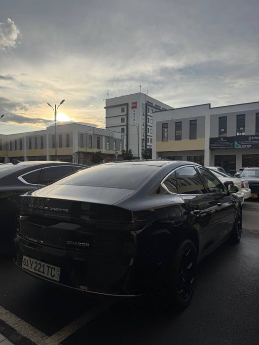 BYD chazor 55km bez lyuk 2024