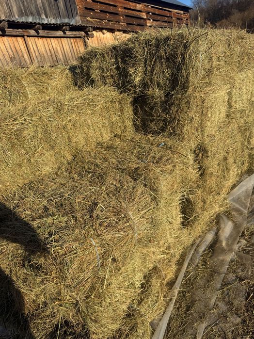 Vând baloti de fân!